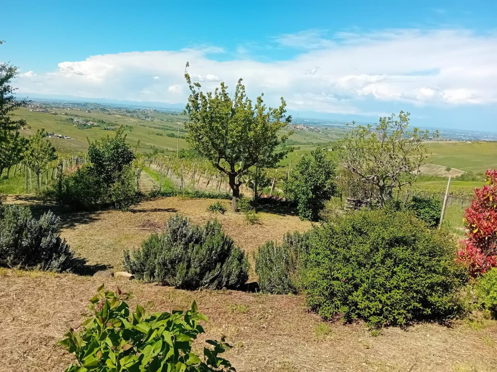 Villa Nife Tiny House - Secret Garden Montalbo Esterno foto